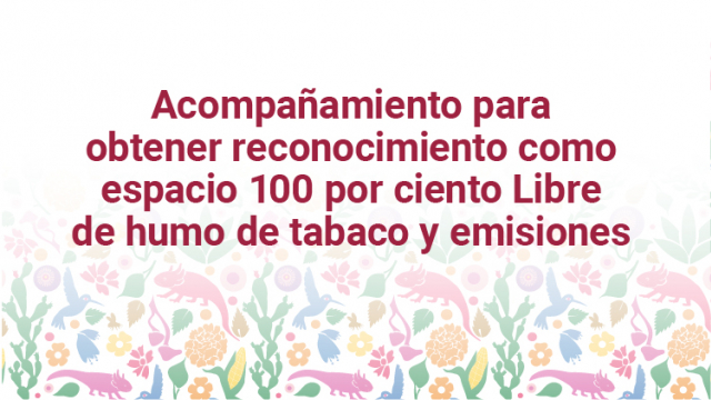 Acompañamiento para obtener reconocimiento como espacio 100 por ciento Libre de humo de tabaco y emisiones