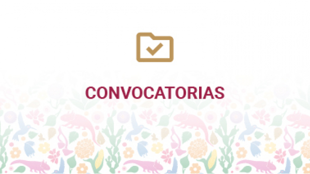 Convocatorias 2025