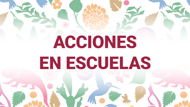 Mesa de trabajo 9001_SWI.png